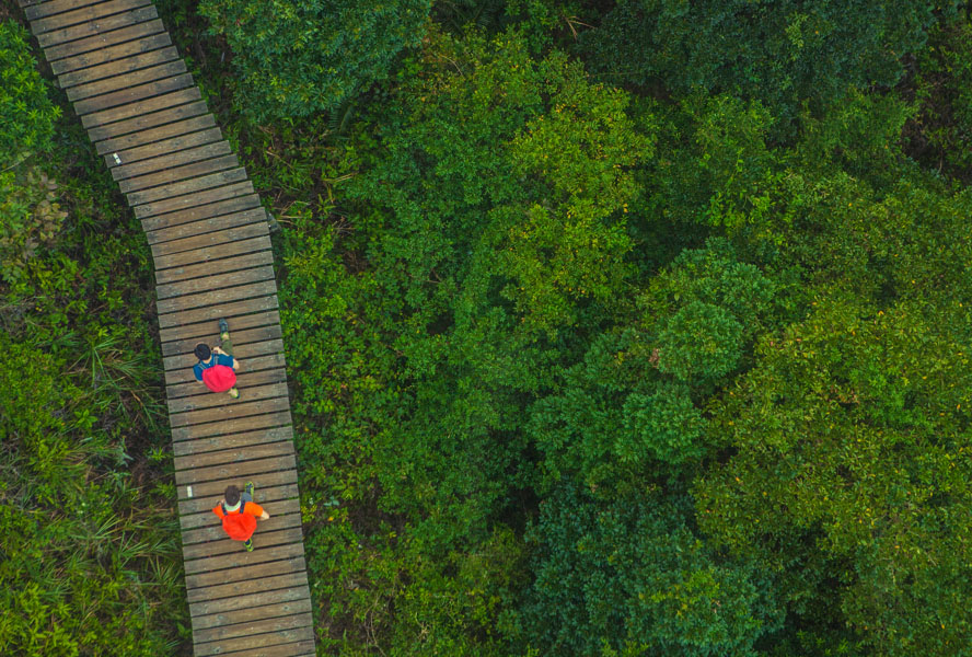 Image of People in Forest